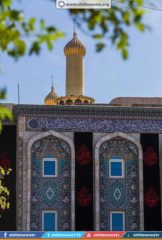 12119089_1671462163077036_9090551659456403209_n