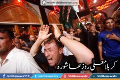 12122589_1674726726083913_5302137895104648309_n