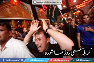 12122589_1674726726083913_5302137895104648309_n