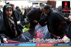 12132390_1671851649704754_950937067681708692_o