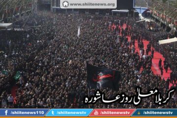 12187684_1674726896083896_5901082838813673188_n