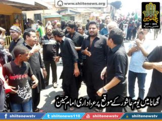 12187787_1675055346051051_4428299923329017257_n