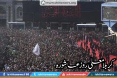 12187841_1674727439417175_8341421204854091523_n