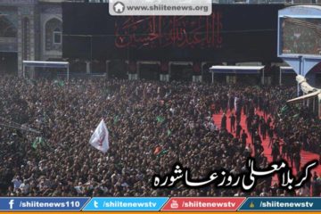 12187841_1674727439417175_8341421204854091523_n