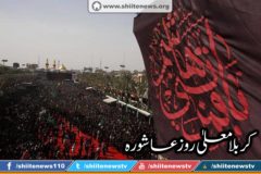 12187928_1674727109417208_7764614549177759659_n