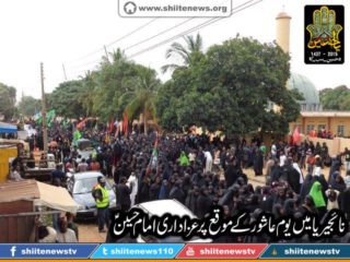 12189013_1675009516055634_6077343706265518815_n