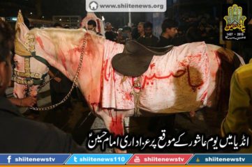 12191620_1675016539388265_4522231494214131428_n