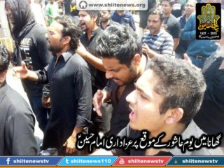 12193524_1675055482717704_4862093667590058335_n