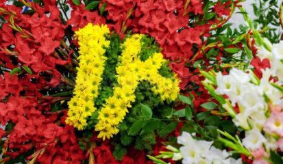 17834054_1886514064969948_1040766076380392031_o