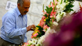 17854850_1886514074969947_4896945613012321896_o