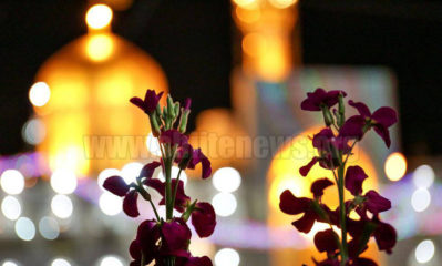 17855379_1887078151580206_6894690365638172679_o