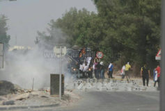 18698332_1349955678374400_5183617790161779991_n