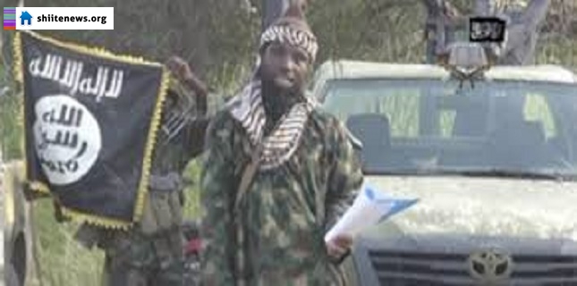 13 Killed in Boko Haram Attack in Niger Village