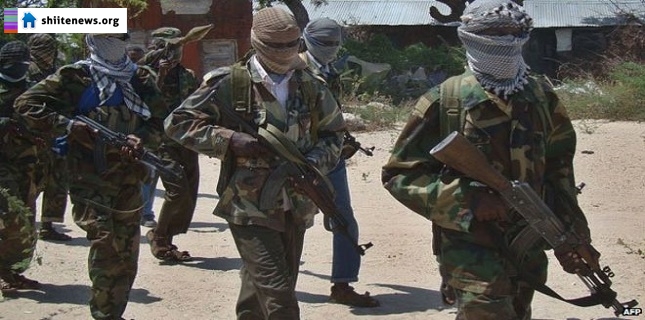 Al-Shabab militants capture 3 Somali towns: Officials