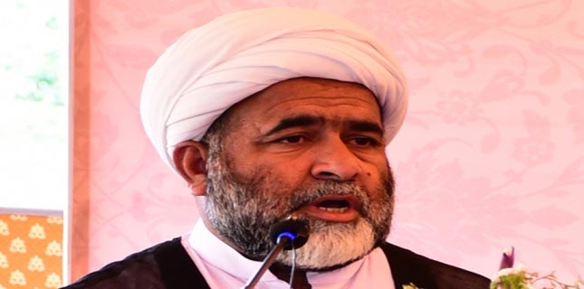 Allama Arif Hussaini struggled to rid Pakistan of foreign masters’ dictation: MWM