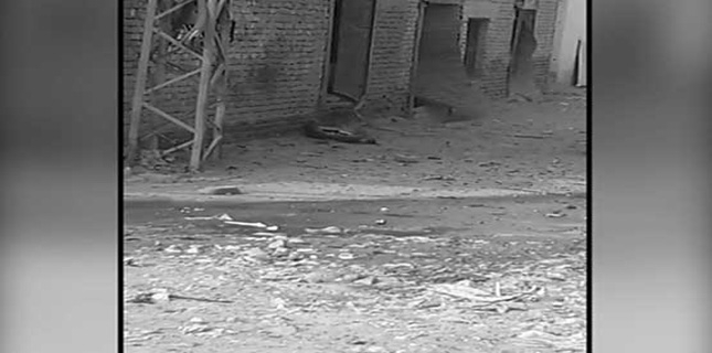 ASWJ, LeJ, TTP booked for Rahim Yar Khan Suicide attack