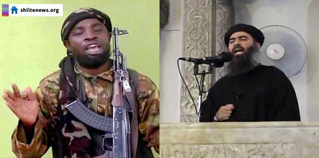 Boko Haram, the Nigeria-based terror group, has pledged allegiance to ISIL