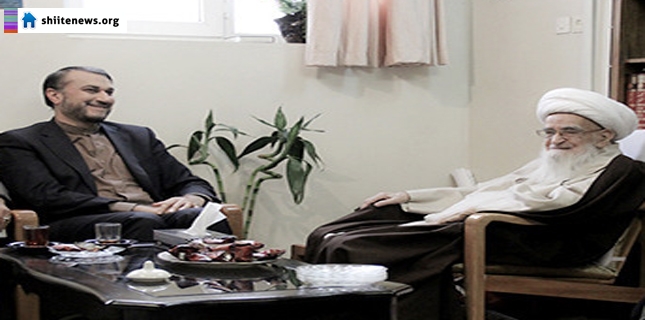 FM should cut off hands of tyrants from Yemen: Ayatollah Golpayegani