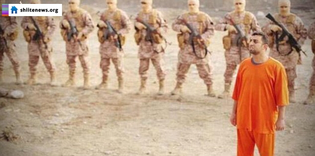 ISIL online video shows burning death of Jordanian pilot