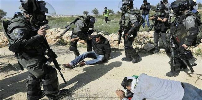 Israeli forces detained 527 Palestinians in November