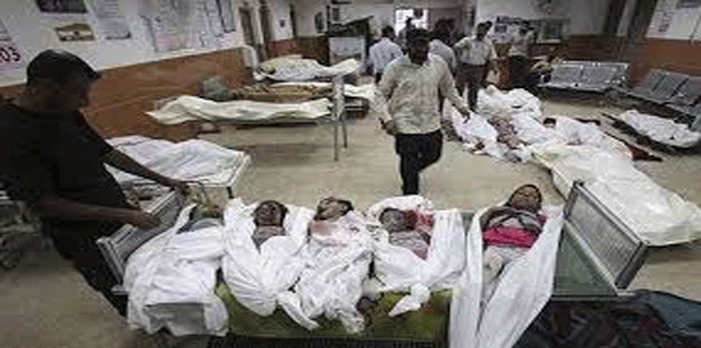 Nearly 430 kids killed in Israeli onslaught on Gaza