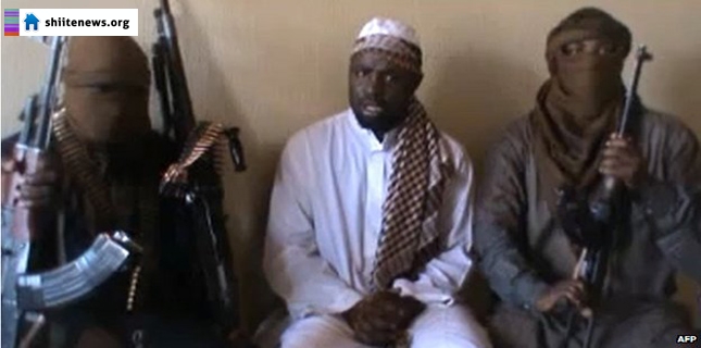 Niger warns of Boko Haram militancy in Lake Chad region