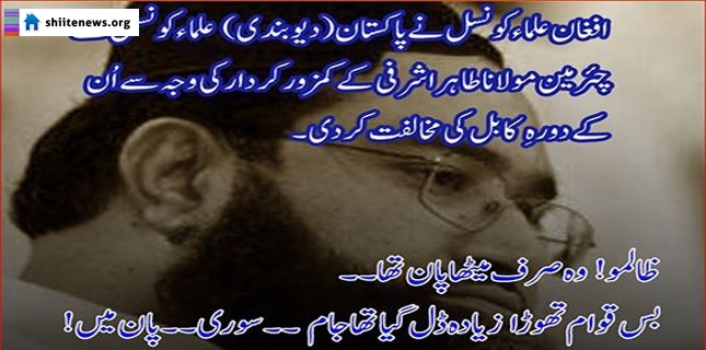 Notorious wolf behind the peaceful appearance