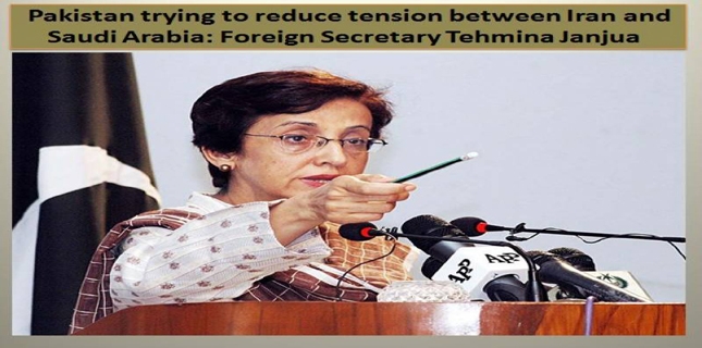 Pakistan trying to reduce tension between Saudi Arabia and Iran: Tehmina Janjua