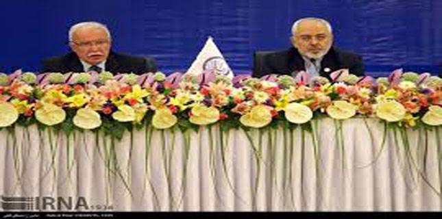 Palestinian FM Asks for Global Ban on Arms Supplies to Israel