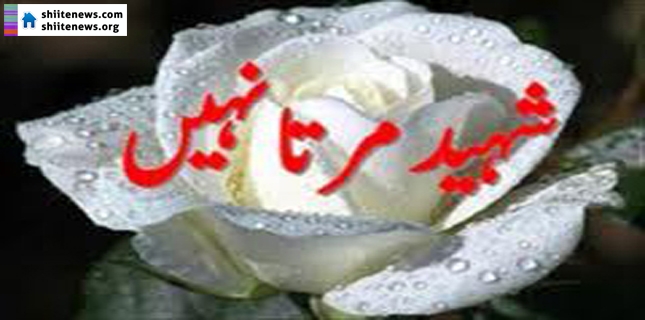 Shia Muslim of Parachinar embraces martyrdom in Lower Kurrum Agency