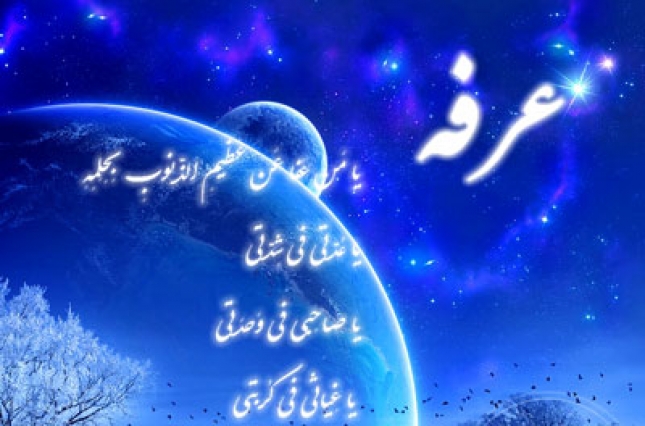 Shia Muslims observe Arfa Day with religious reverence