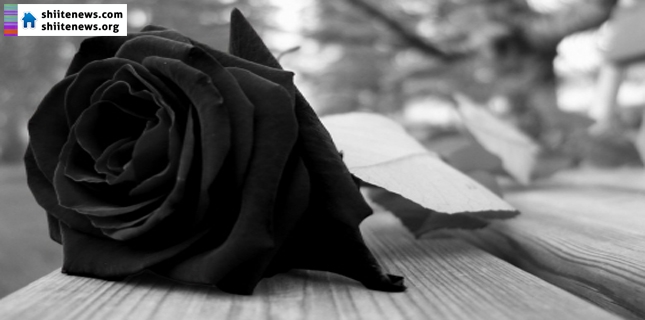 Shia school children mourn brutal massacre of child students in Peshawar