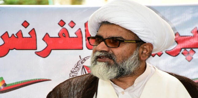 Sunni and Shia Muslims are natural allies, says Allama Raja Nasir