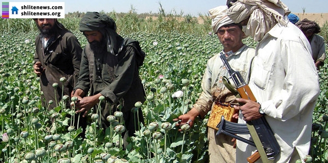 Taliban terrorists using drug money to finance attacls on Muslims