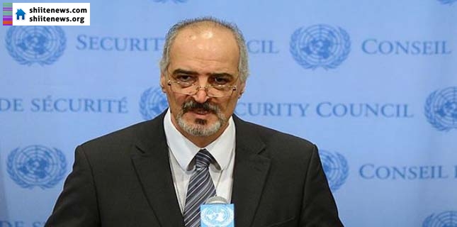 UN resolutions prolong agony of Syrians: Damascus envoy