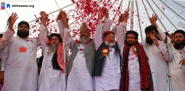 Wahhabis and takfiris in Pakistan united to defend Saudi monarchy