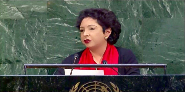 Pakistan raises issue of Israeli terrorism in Gaza at UN General Assembly