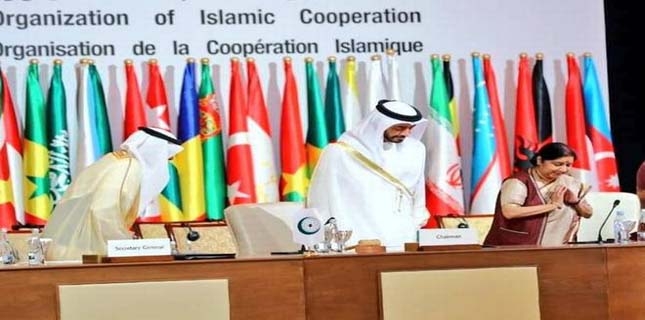 With India at OIC meeting