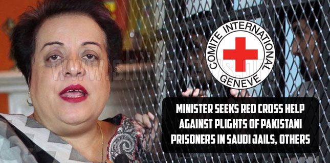 Minister seeks Red Cross help against plights of Pakistani prisoners in Saudi jails