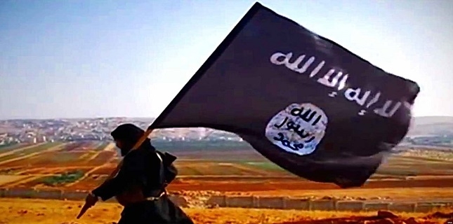 UAE is organizing ISIL in Southern Yemen: Report