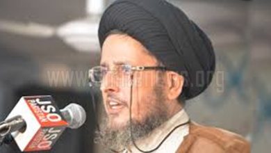 Allama Sibtain lauds identical Sunni and Shia reaction