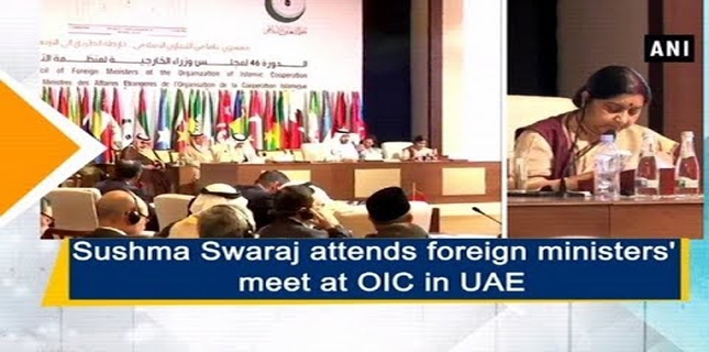 OIC Declaration ignores Indian aggression against Pakistan: ex-chairman Senate