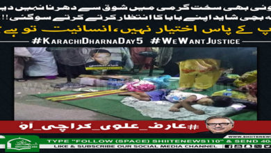 Shia community worldwide solidarity