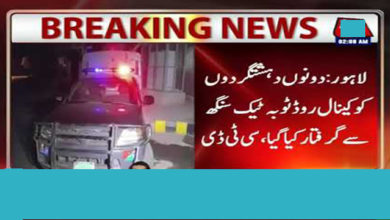 terror bid ctd toba tek singh