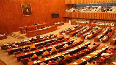 Senate CPEC debt concerns