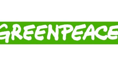Greenpeace, German Saudi arms deal