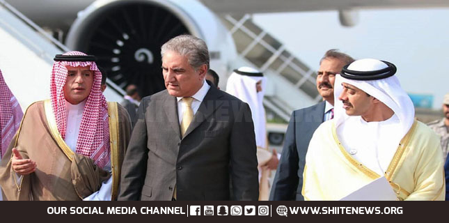 Pakistan expects strong support from Muslim world against India: FM