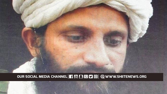 Pakistani Asim Umar who led alQaida killed in Afghanistan
