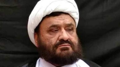 Allama Hameed Imami demands