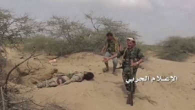 Taiz
